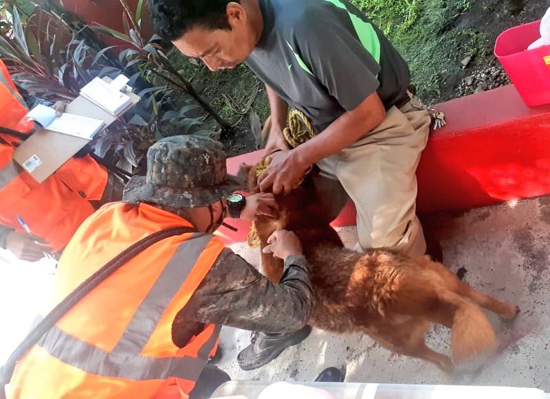 Avanza campaña de vacunación contra la rabia en el territorio