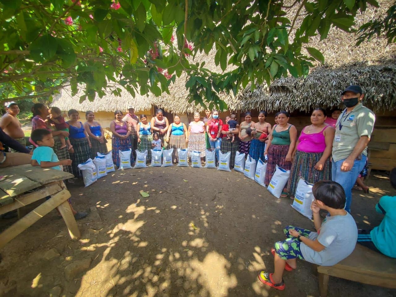 Agricultores de la zona de adyacencia con Belice se benefician con dotación de semilla de maíz mejorada