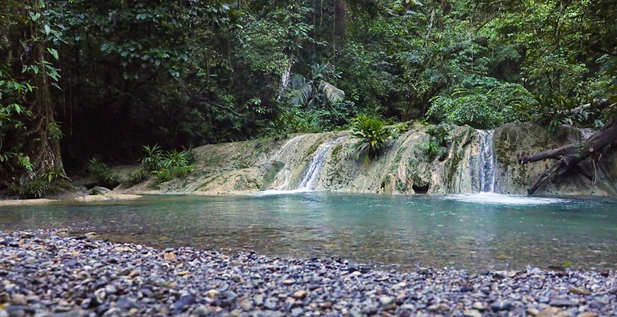 Aspecto de área protegida de Punta de Manabique, Izabal