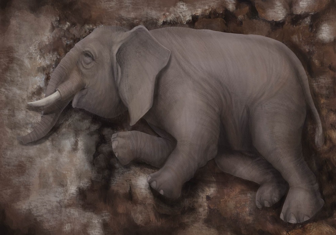 Estudian esqueleto hallado en Europa de una cría de elefante antiguo