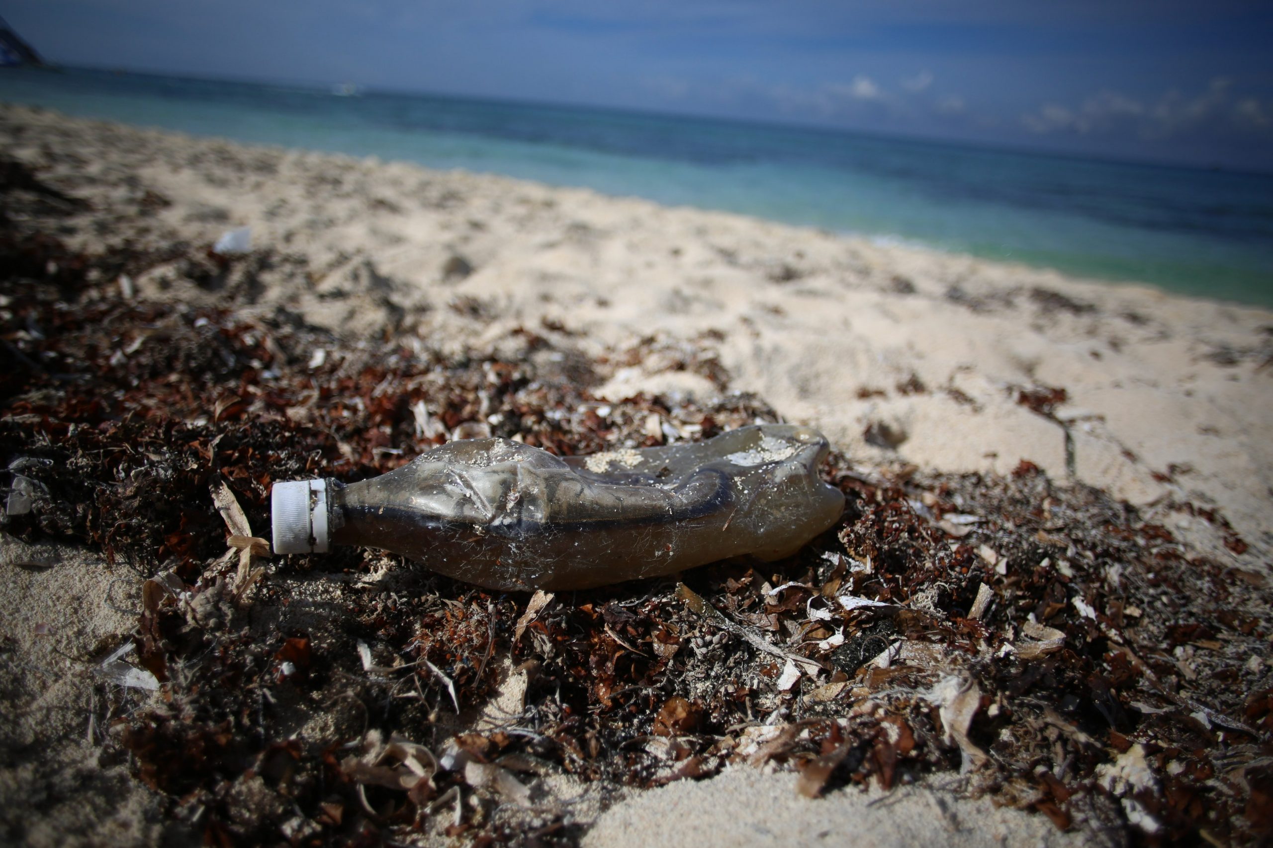 Expertos piden reducir hasta un 90 % los desechos marinos antes de 2030