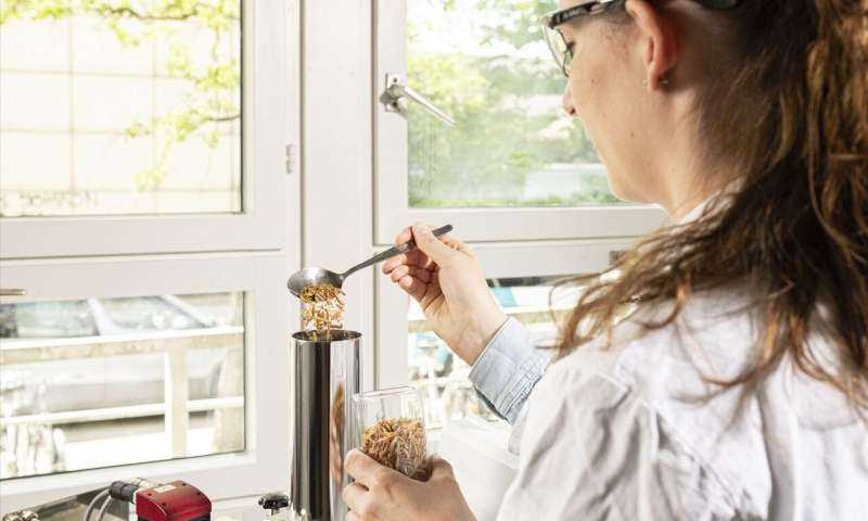 Tecnología en la cría de insectos para mejorar la producción alimentaria