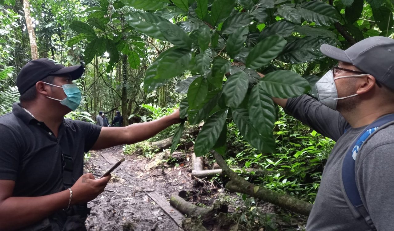 Inab fortalece capacidades de personal a cargo del sector forestal