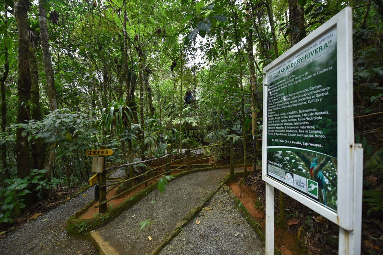 Biotopo del Quetzal, una riqueza natural en Guatemala