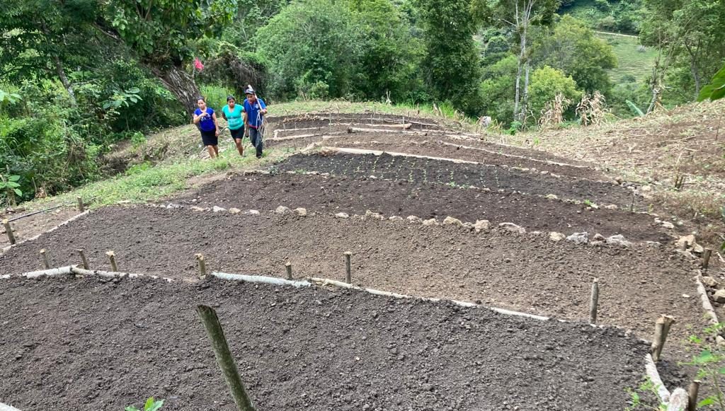 Alianza estratégica refuerza capacidades de comunitarios para la producción de alimentos