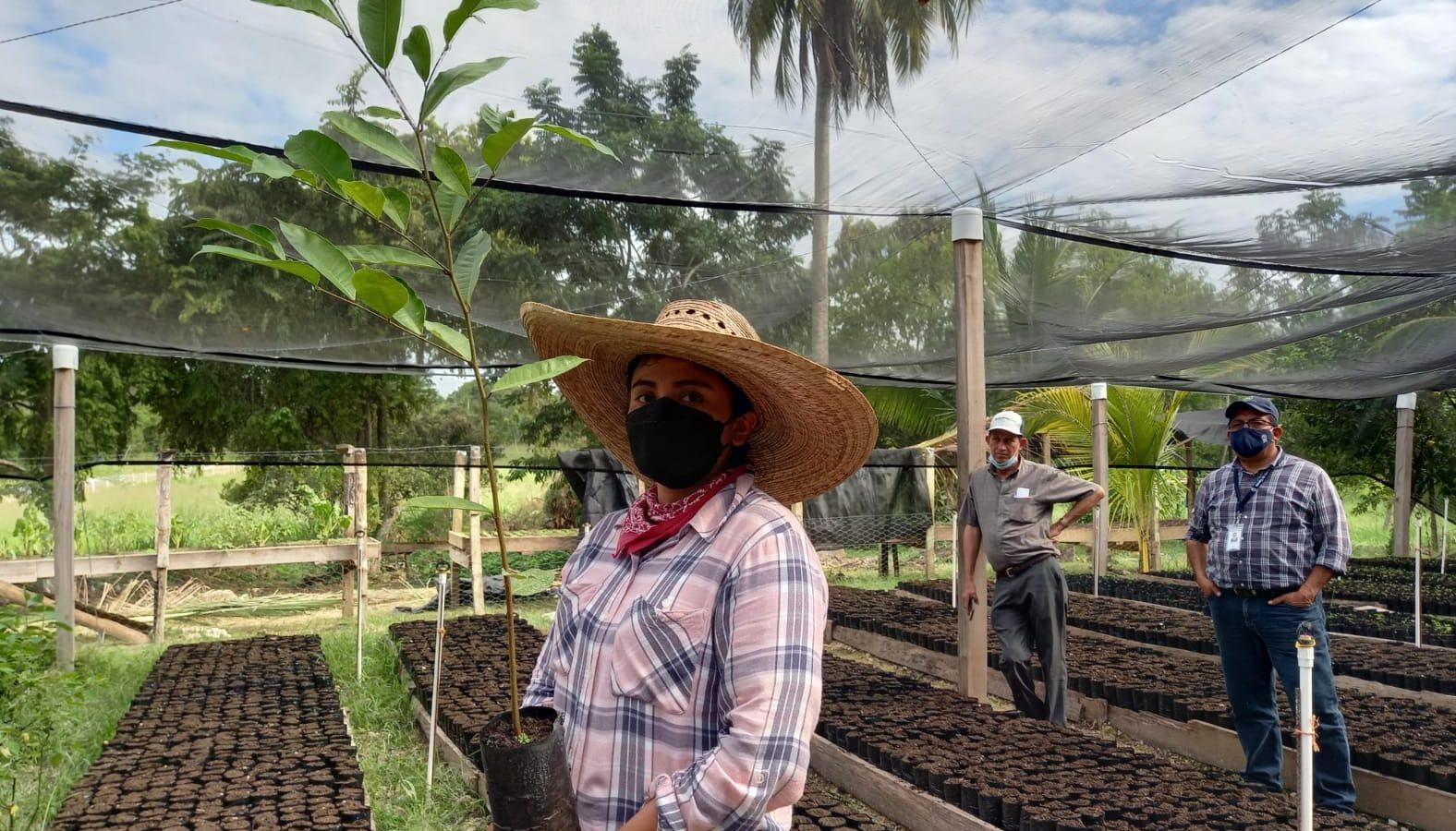 Inab promueve proyectos de incentivos forestales en Petén