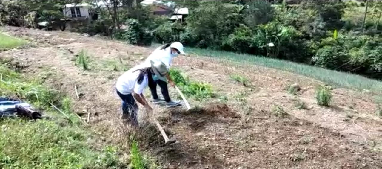 Jóvenes contribuyen con la agricultura rural