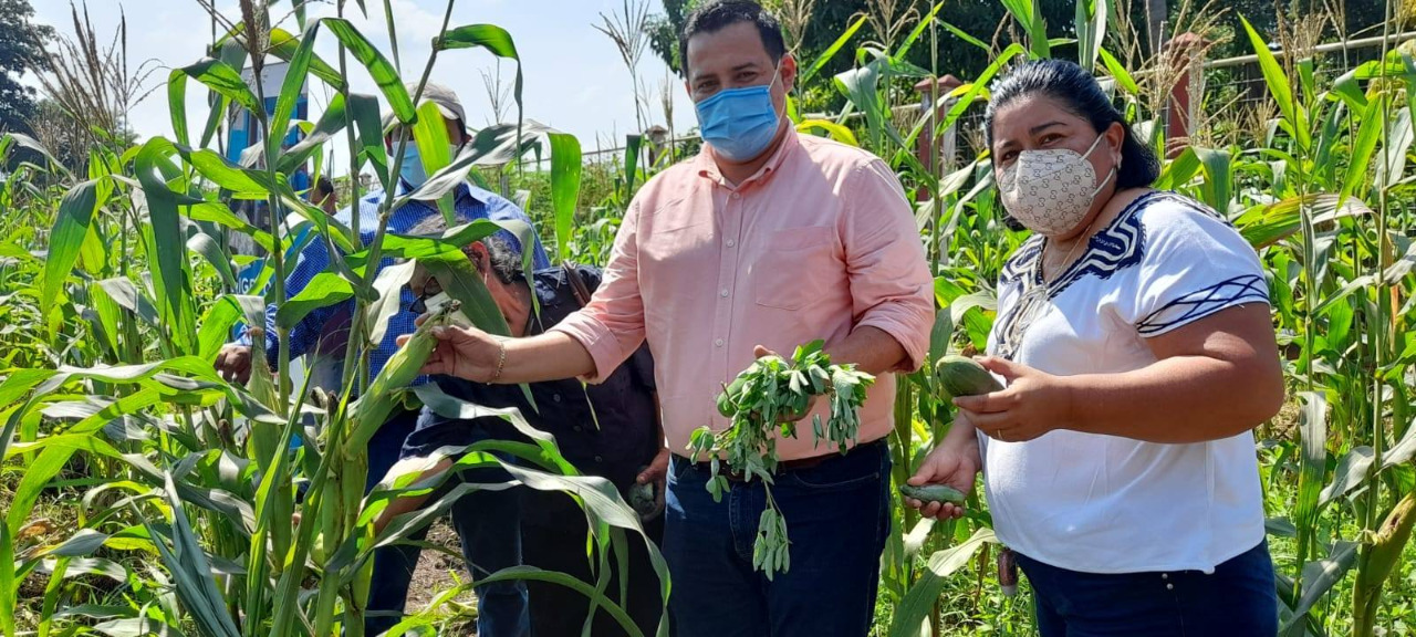 Huertos pedagógicos refuerzan educación y nutrición infantil en Masagua