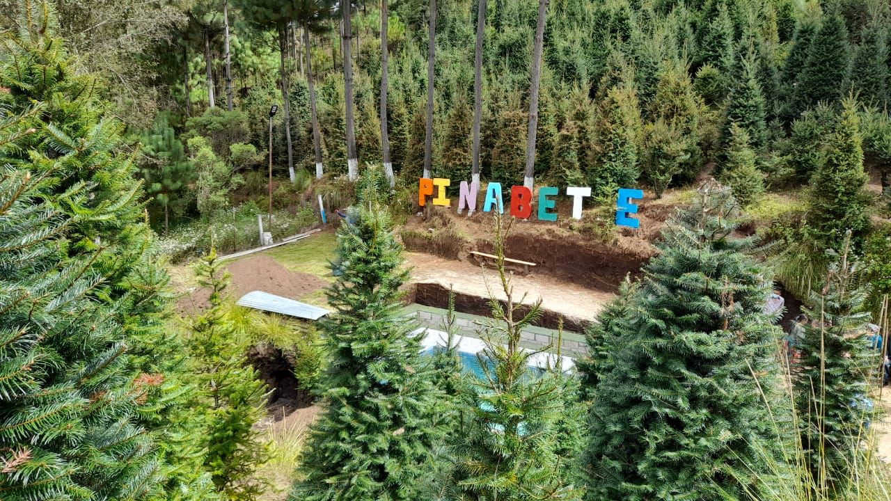 Inab realiza Gira Regional del Pinabete en Totonicapán