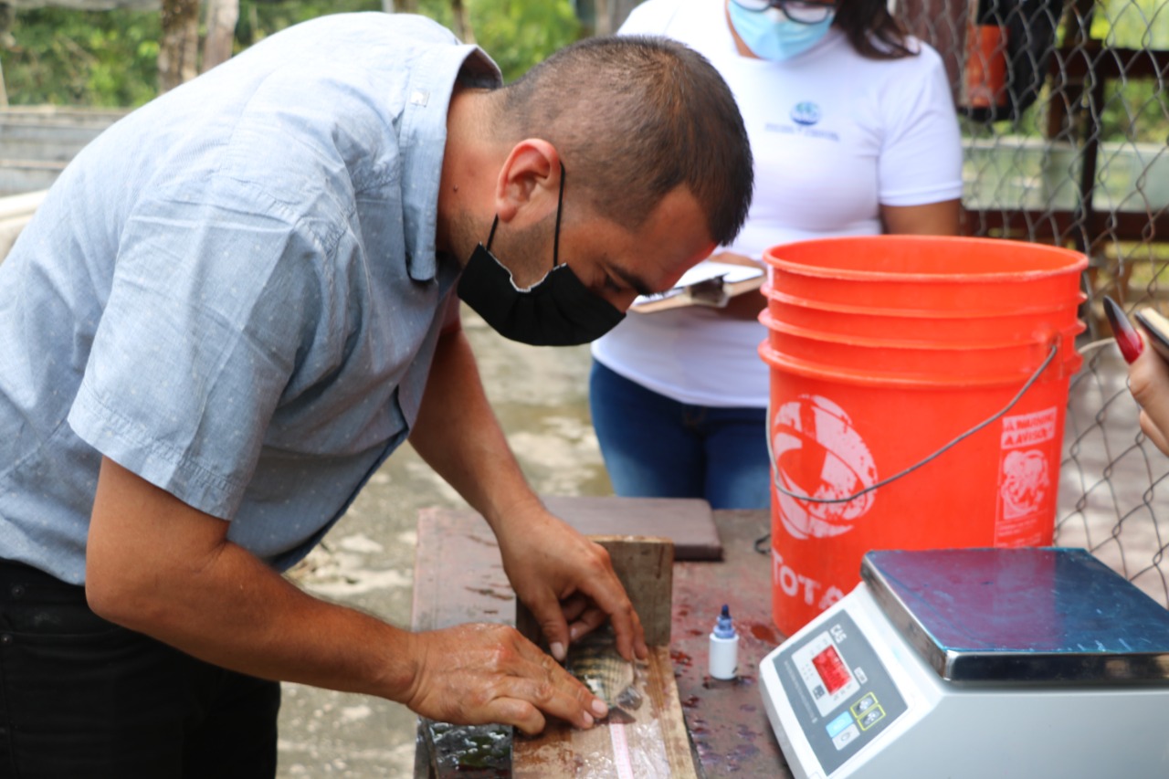 Petén: efectúan talleres para formación de bancos de reproductores de tilapia