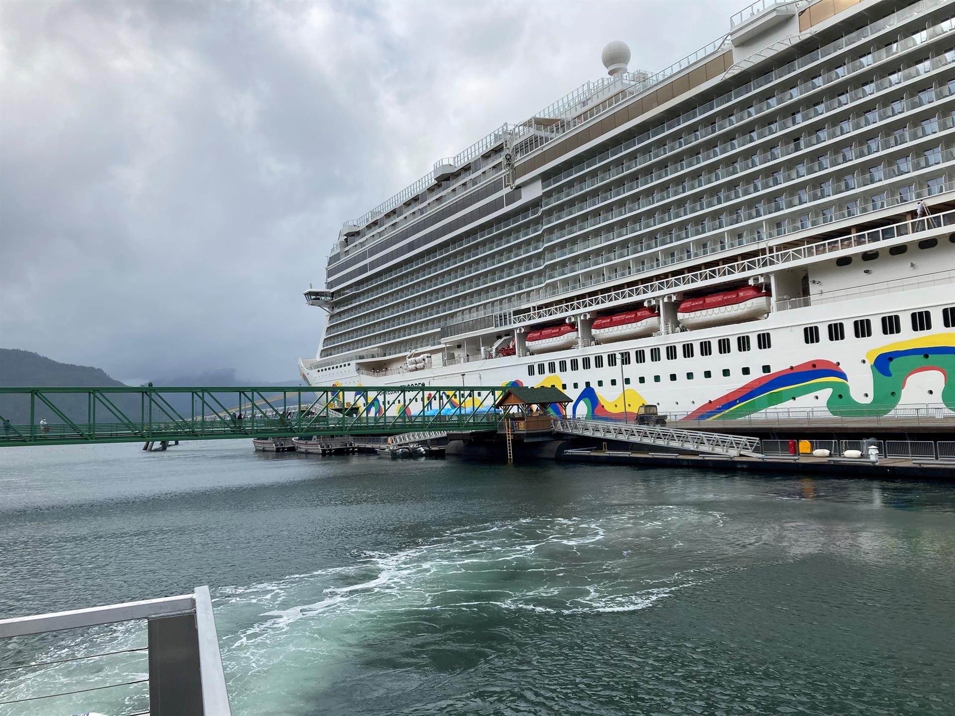 EE. UU. reporta más de mil 350 casos de COVID-19 en cruceros en cuatro meses