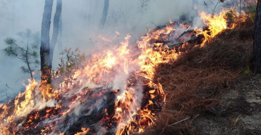Quetzaltenango, en prevención ante incendios forestales