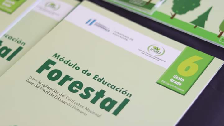 Crean módulos de educación forestal para alumnos de primaria