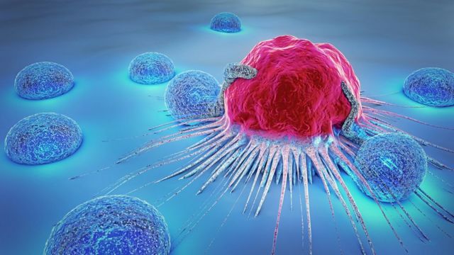 Proteína influiría en la agresividad de tumores, según investigación