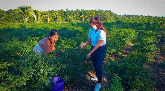MAGA asiste a comunitarios de Petén en la producción y transformación de alimentos