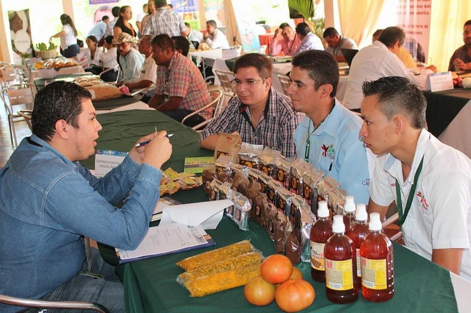 Productos agrícolas de exportación ganan terreno a nivel internacional
