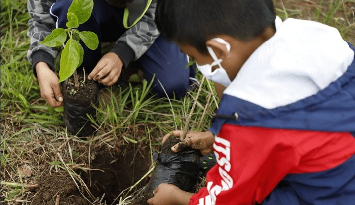 En el programa de reforestación participaron niños, jóvenes y adultos