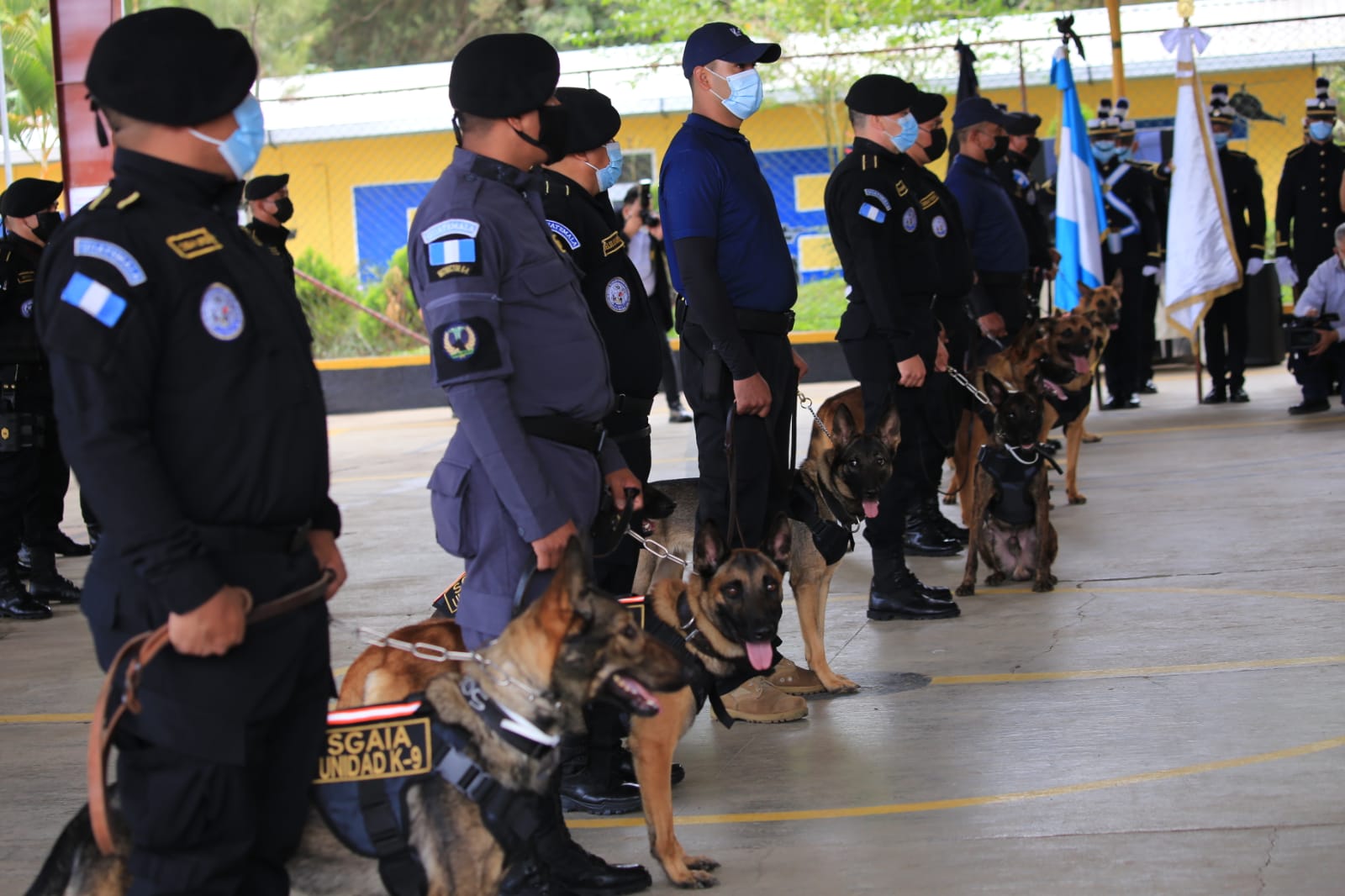 Elementos de la PNC culminan cursos de entrenamiento canino