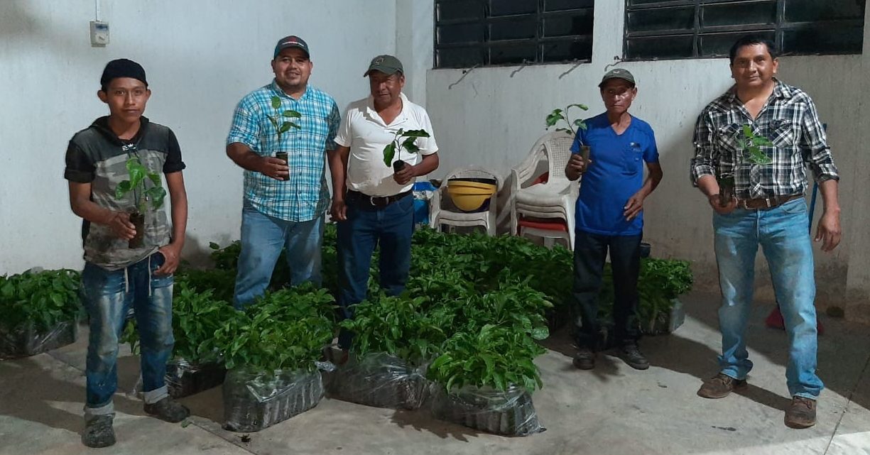 MAGA beneficia a productores de Suchitepéquez
