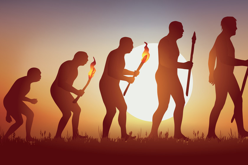 Crean una aplicación que reconstruye el pasado evolutivo de los humanos