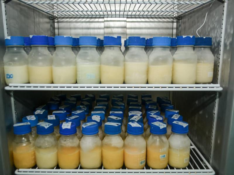 Los bancos de leche humana recolectaron en 2021 5 mil 668 litros de leche materna, con lo que beneficiaron a miles de recién nacidos en riesgo.