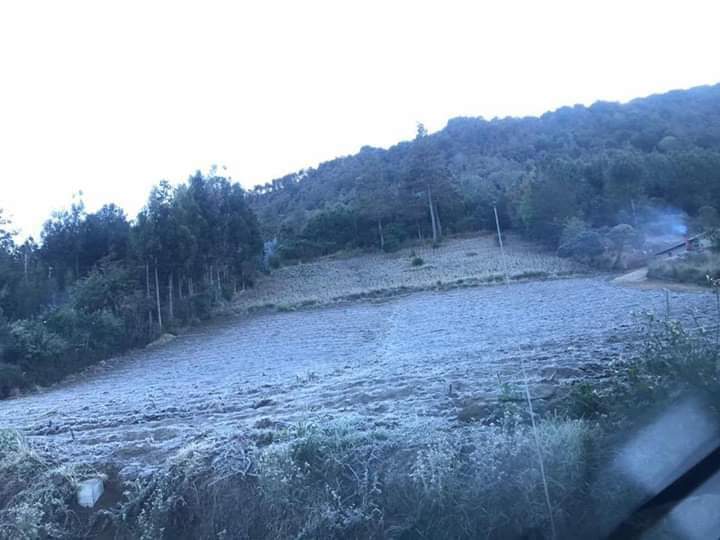 MAGA emite recomendaciones por descenso de la temperatura