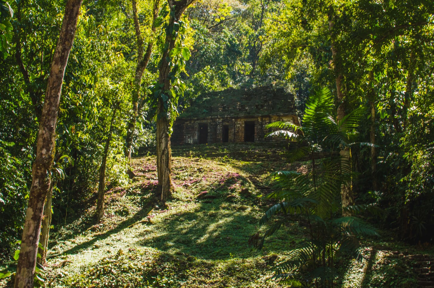 El Parque Nacional Sierra del Lacandón ocupa un lugar muy importante en la parte norte del corredor biológico mesoamericano.