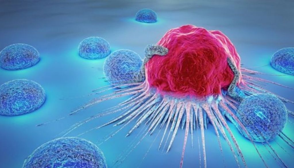 Descubren región desordenada de una proteína con capacidad oncogénica