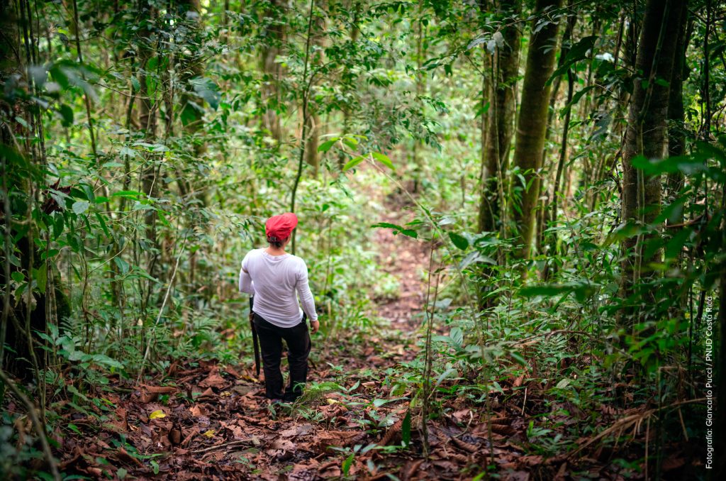 Francia y Costa Rica inauguran bosque en busca de avanzar en sostenibilidad