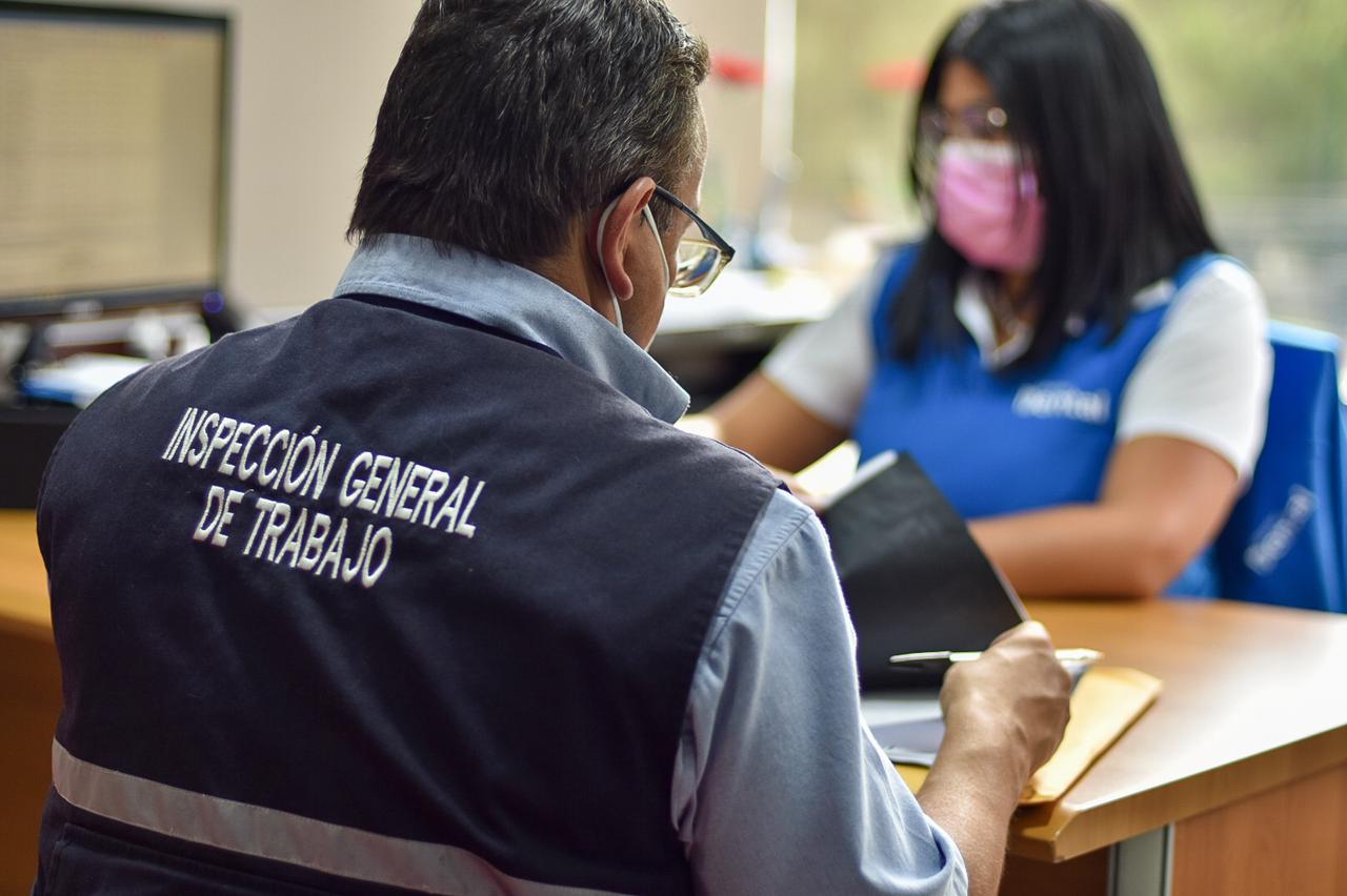 Las verificaciones serán efectuadas por profesionales de la Inspección General de Trabajo