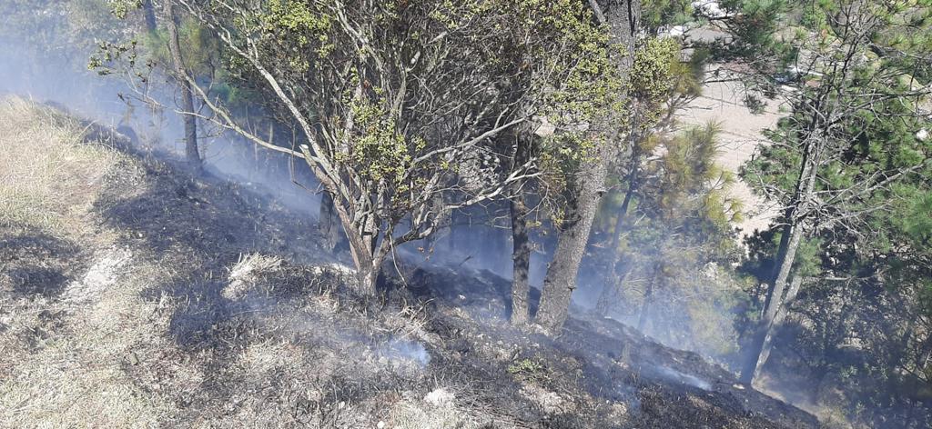 Conred controla incendio forestal en Totonicapán
