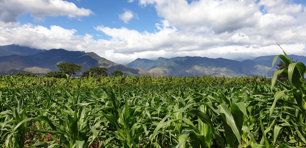 MAGA reafirma apoyo a productores de Jutiapa