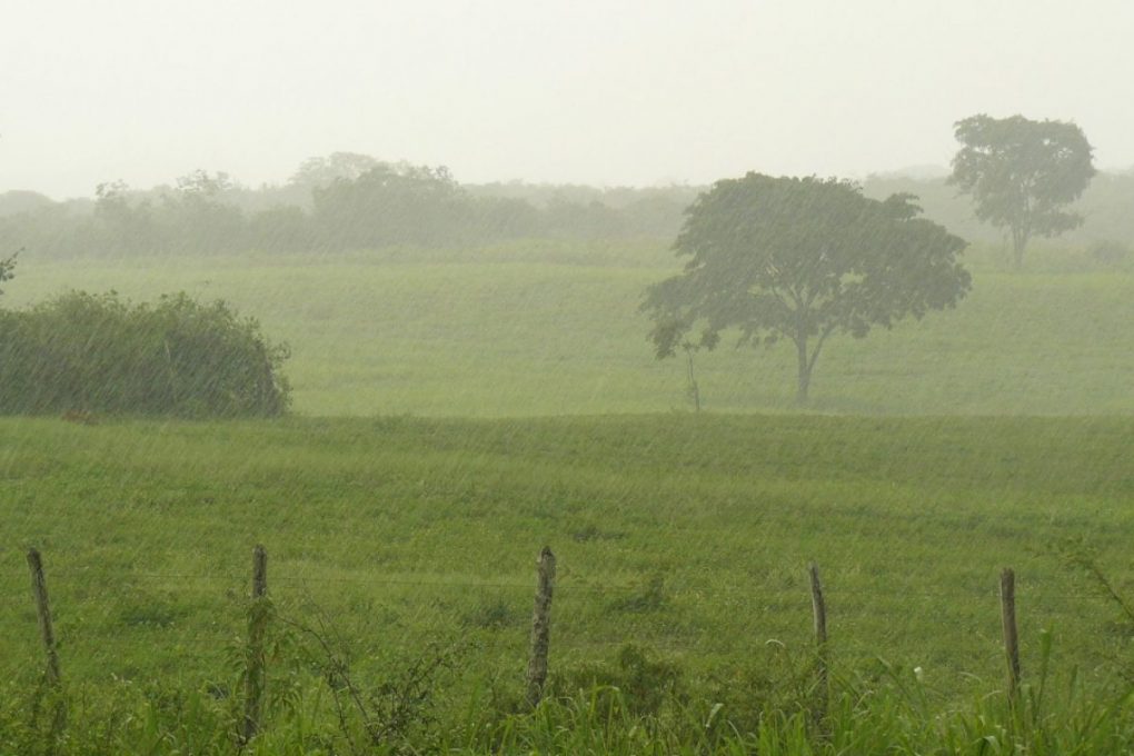 MAGA comparte análisis agroclimático, debido a las lluvias y frentes fríos