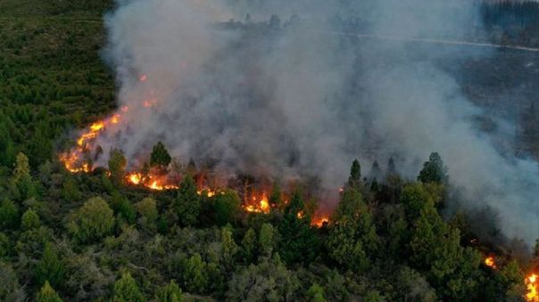Incendios forestales ya consumieron 519 mil hectáreas en noreste de Argentina