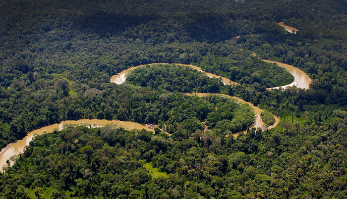 Noruega destinará 3.7 millones de dólares para reforestación en la Amazonía