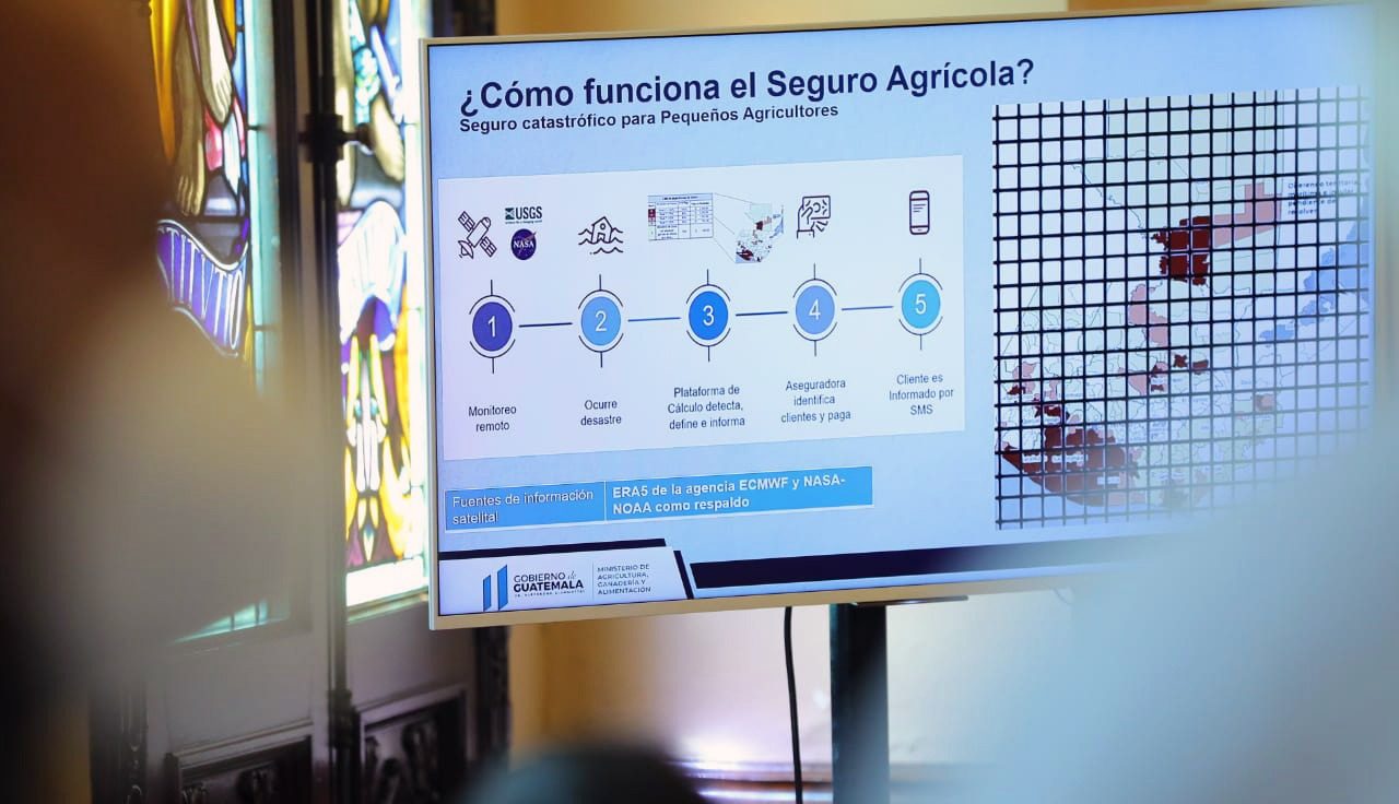 El MAGA da a conocer los procesos para optar el Seguro Agrícola.