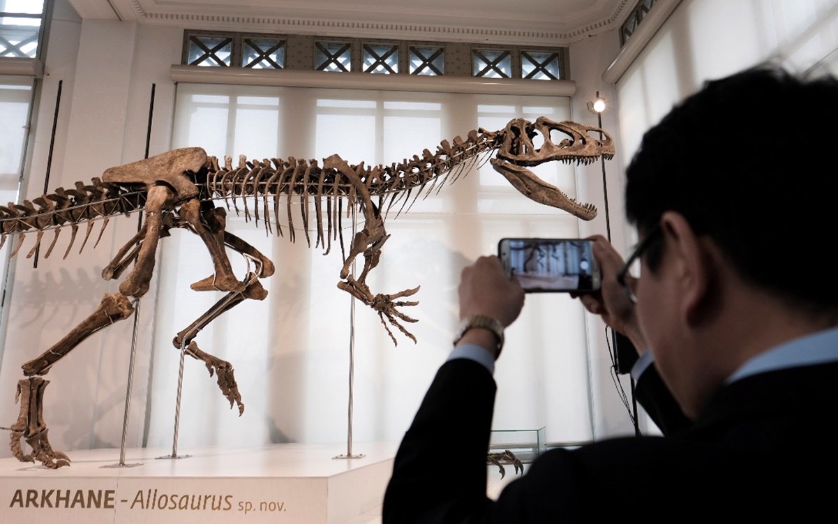 Encuentran primeras evidencias de infección respiratoria en dinosaurios