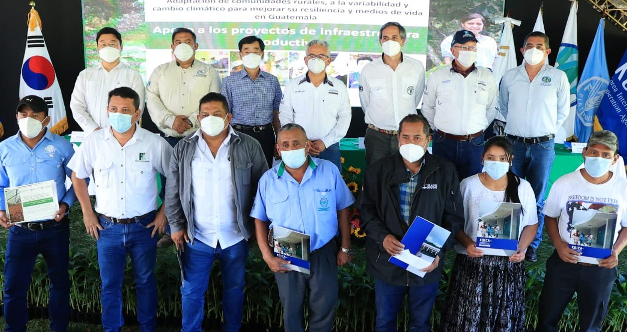 Alianza estratégica impulsa desarrollo agroforestal en las verapaces