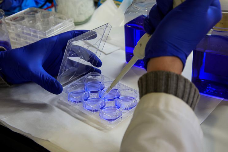 Crean novedosa técnica de cribado de fármacos para metástasis cerebral