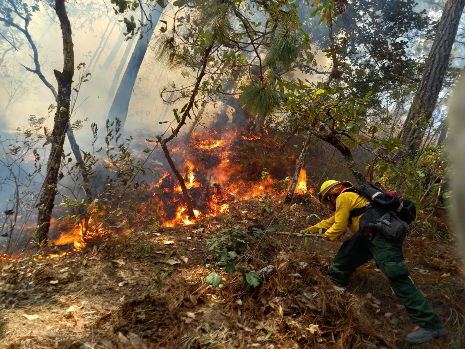 Los bomberos forestales continúan efectuando las labores en diversos sectores del país para controlar los incendios.