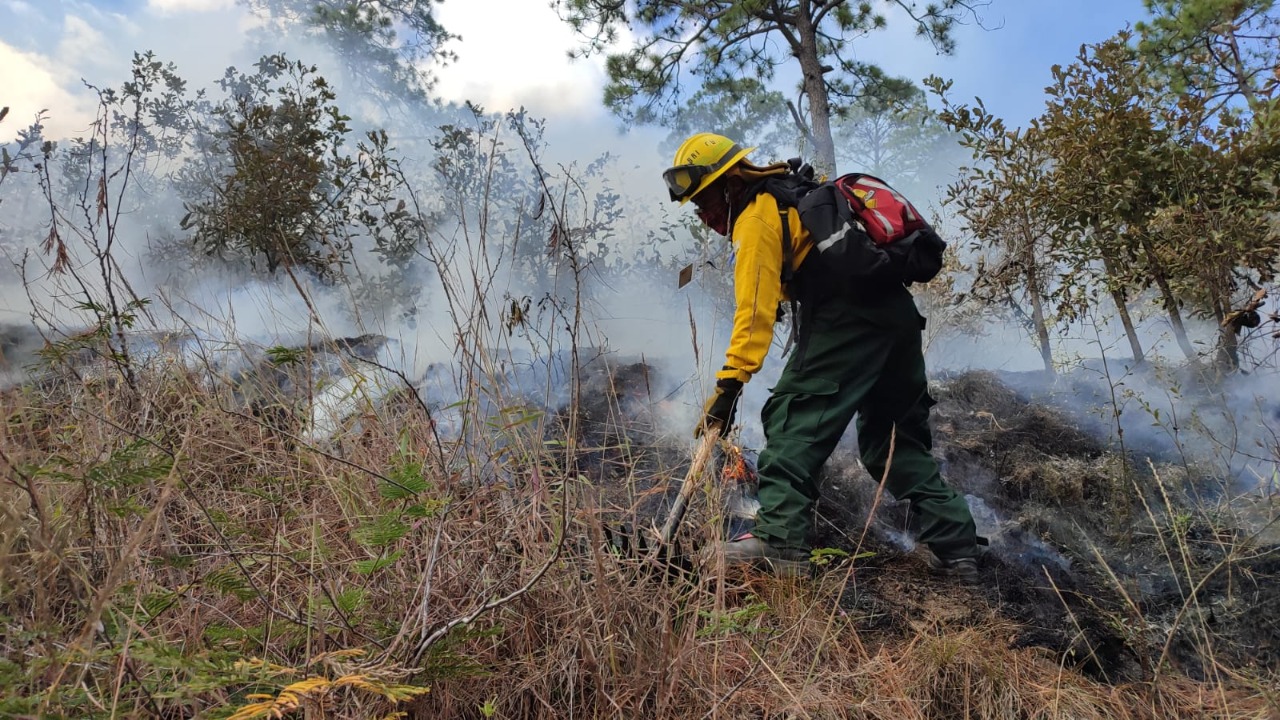 Los cuerpos de socorro han efectuado labores para mitigar los incendios forestales.