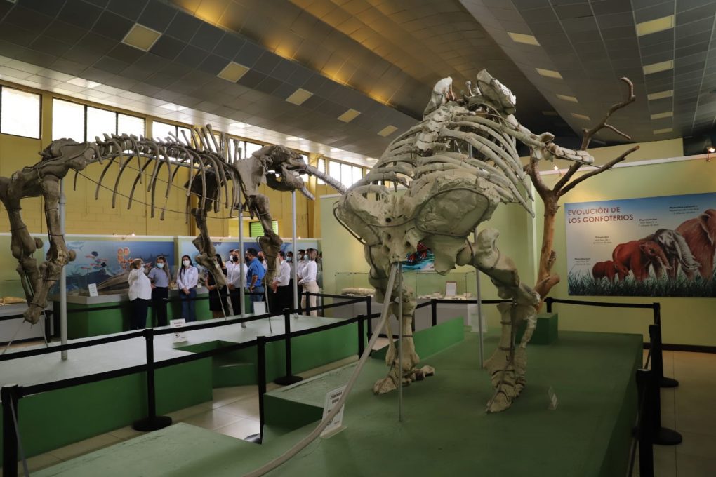 Anuncian modernización de museo de paleontología y arqueología en Zacapa