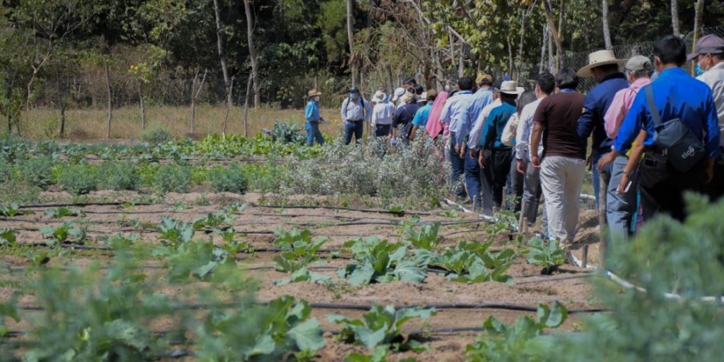 Guatemala impulsa medidas para enfrentar los efectos del cambio climático