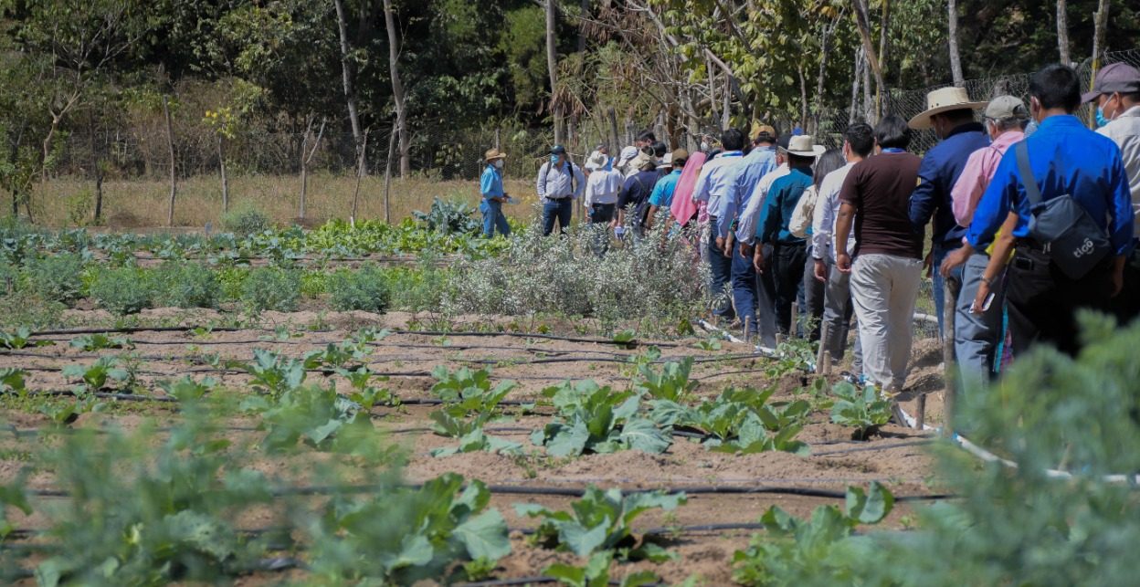 Proyectos de adaptación al cambio climático favorecen a vecinos de San Miguel Chicaj