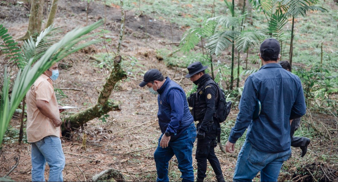 Autoridades dan seguimiento a denuncia por usurpación y tala ilegal en área protegida de Cobán