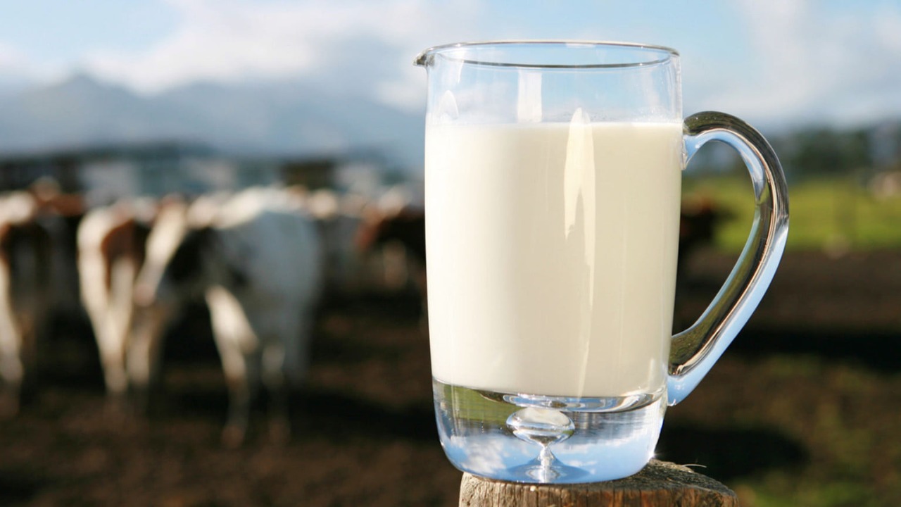 MAGA apoya a productores de leche y sus derivados