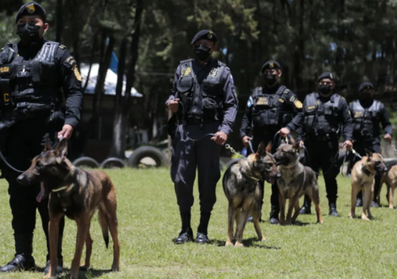 Instructores y guías caninos fortalecen capacidades en detección de objetos ilícitos
