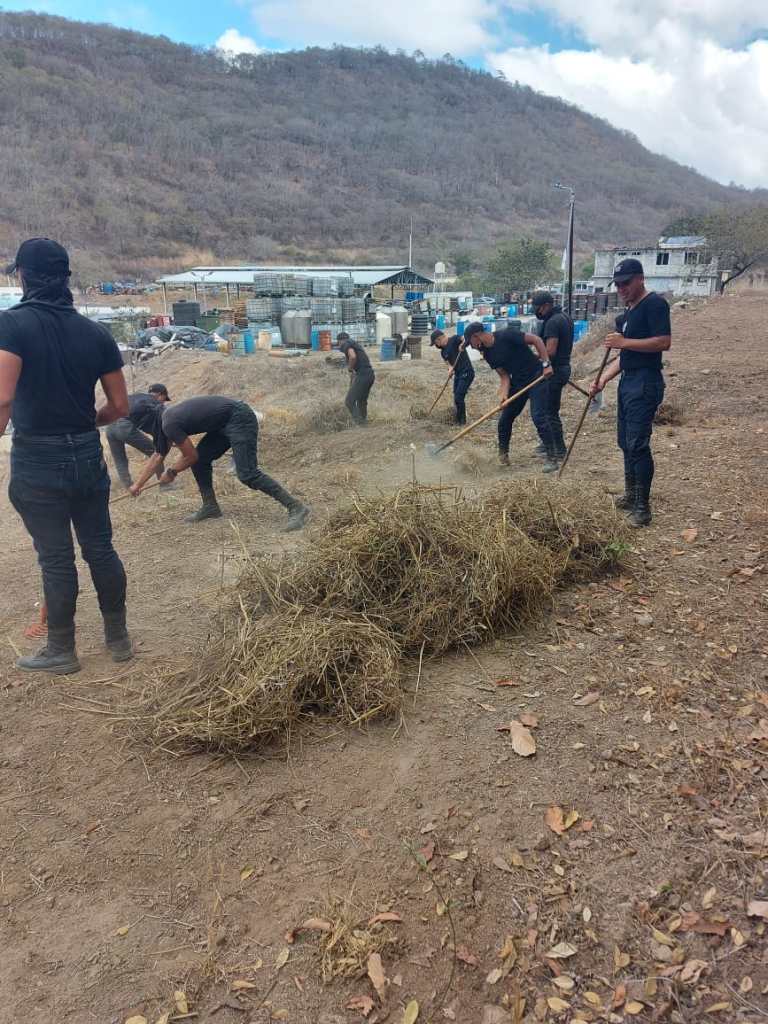 Efectúan limpieza de brecha en alrededores del Complejo de Precursores Químicos