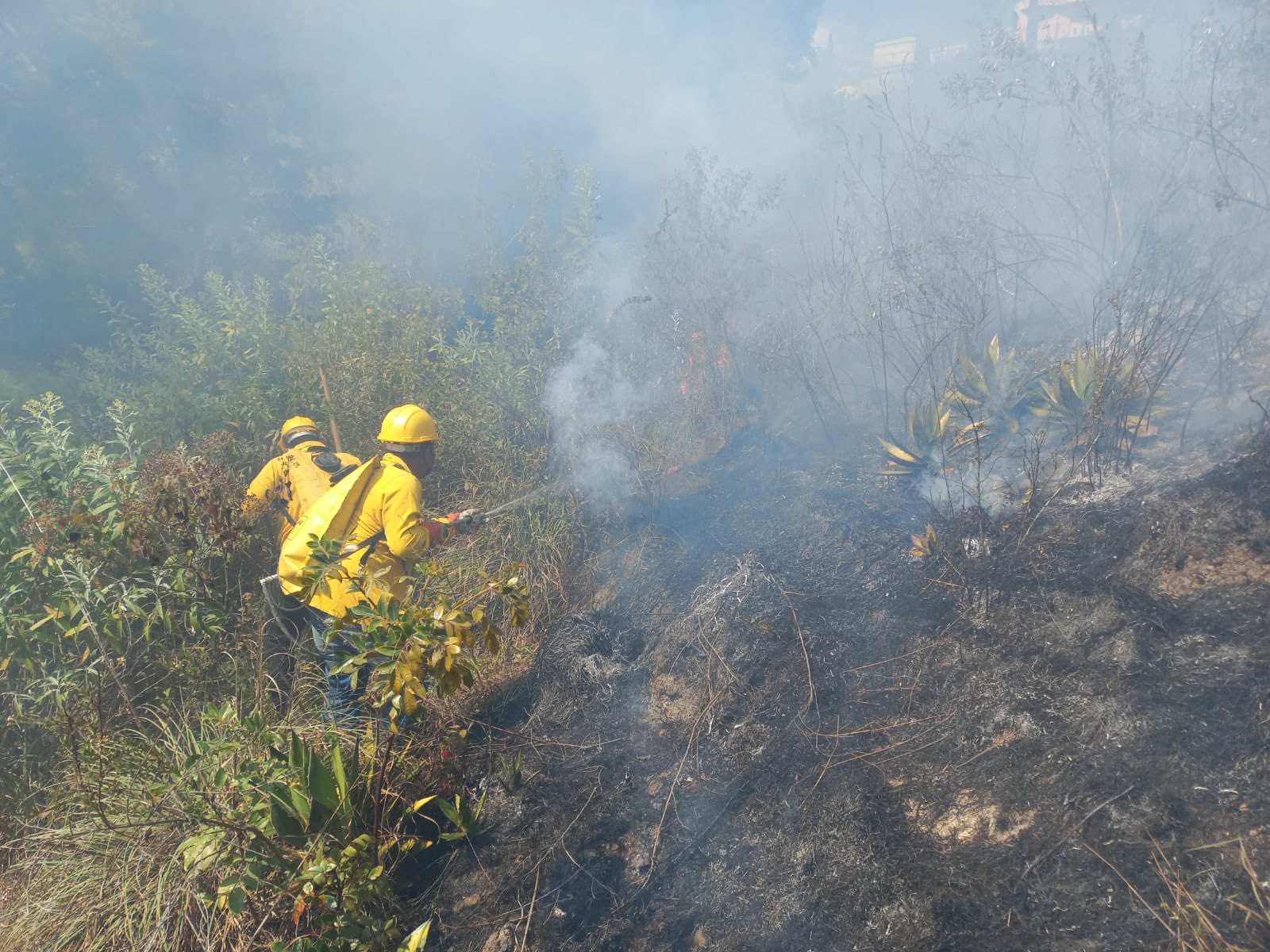 En las últimas horas se combatieron siete incendios forestales