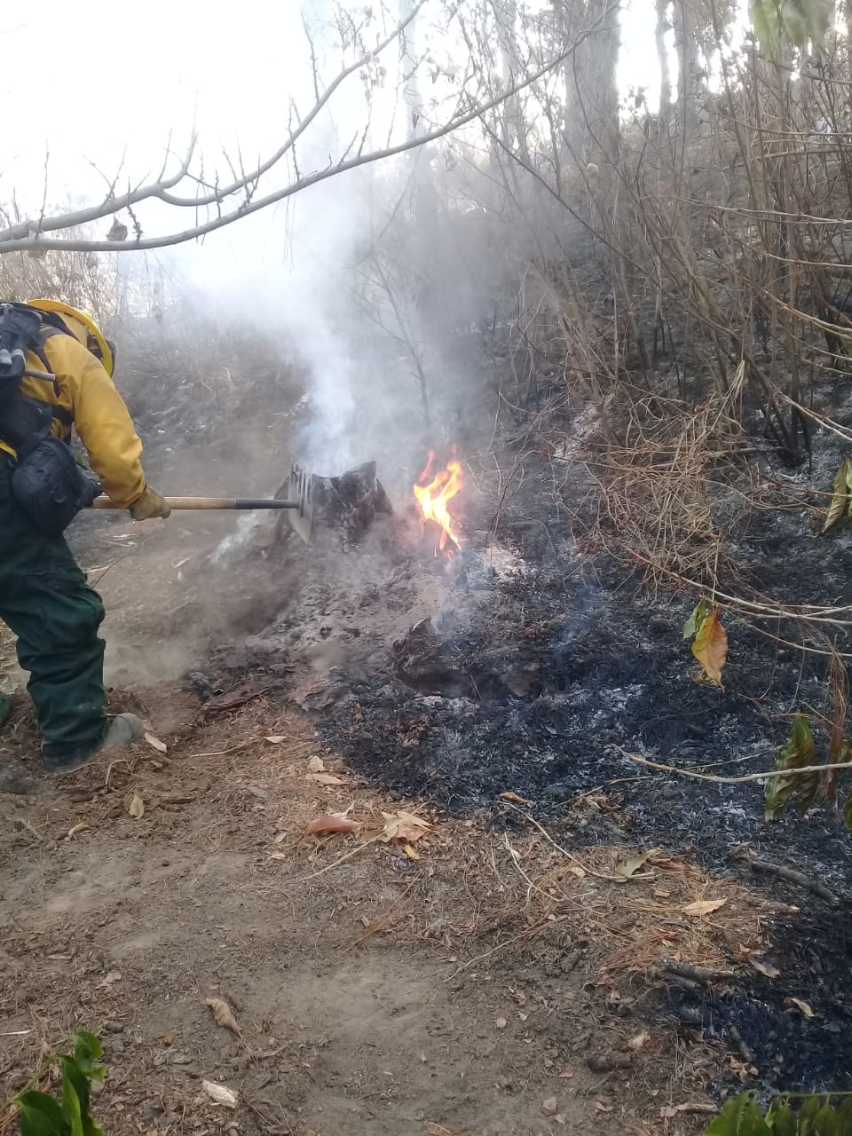 Cuerpos de socorro mantienen acciones para atender los incendios forestales.